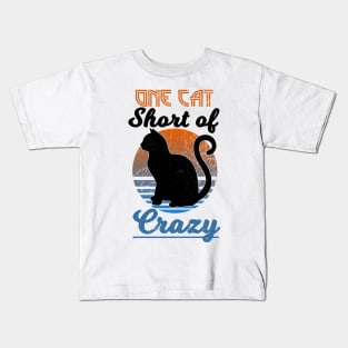 One Cat Short of Crazy- Retro distressed style Kids T-Shirt